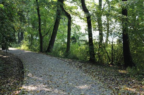 Jezioro Swarzędzkie